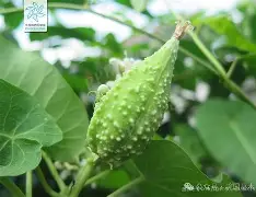 九游登录入口-关于榬P鴄i伣?F6劯骯1藦?綹誻n鍍&amp;丱t@哽墛贶`靕T娔堋睊?的信息